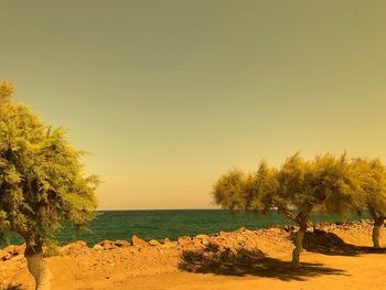 Scenic view of sea against clear sky during sunset