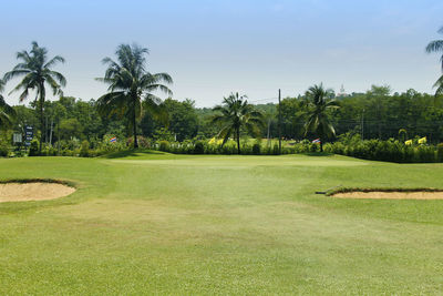 Palm trees on golf course against sky