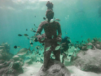 Man swimming in sea