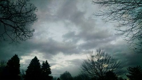 Low angle view of bare trees against cloudy sky