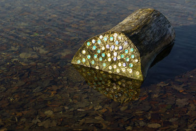 High angle view of stone floating on water