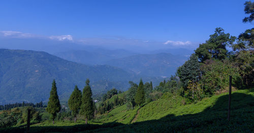 Panoramic view of trees and mountains against sky