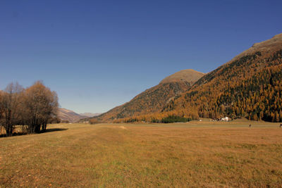 Scenic view of field against clear blue sky