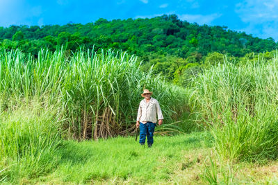 Man walking against crops in field