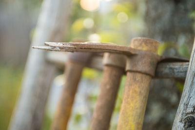 Close-up of rusty metal fence against blurred background