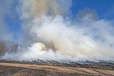 Smoke rising from controlled prairie burn in spring valley nature preserve in schaumburg, illinois