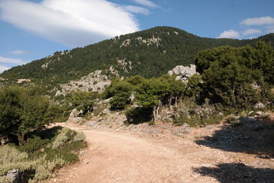 Scenic view of tree mountains against sky