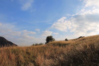 Scenic view of landscape against cloudy sky