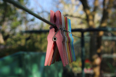 Close-up of clothes hanging on clothesline