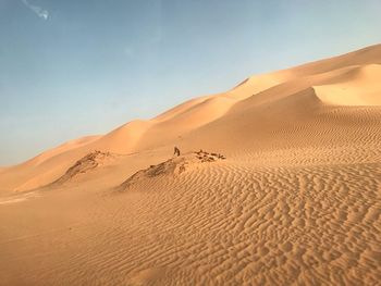 Sand dune in desert against sky