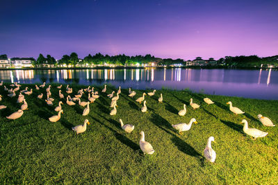 Scenic view of lake against sky at night