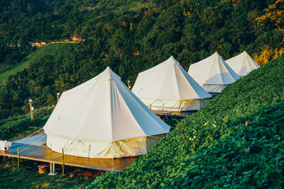 High angle view of tent amidst trees