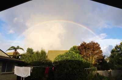 Rainbow over trees against cloudy sky