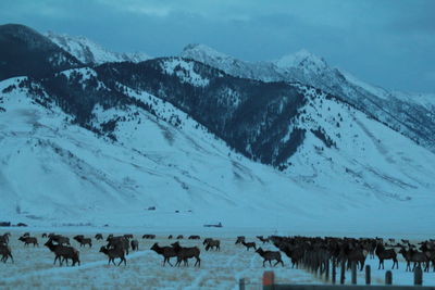 Panoramic view of people on snow covered land