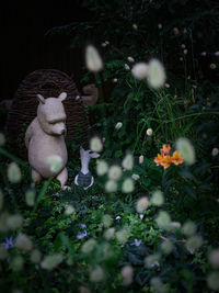 View of white flowers on field