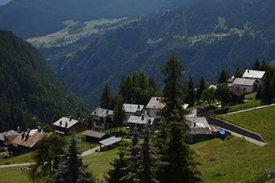 High angle view of houses amidst trees and buildings