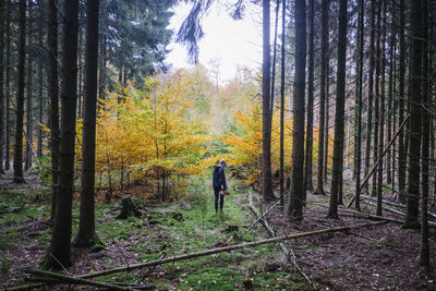 Rear view of woman standing in forest