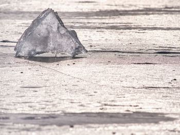 Close-up of ice on wood