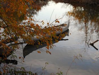 Reflection of tree in lake during autumn