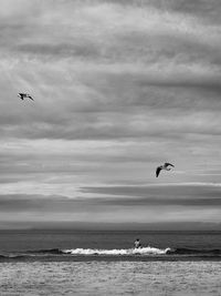 Seagull flying over sea against sky