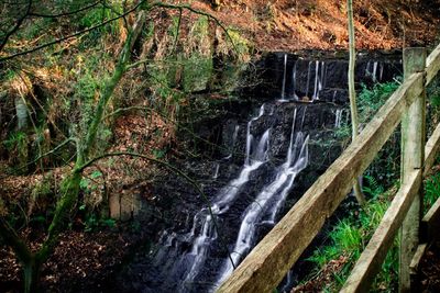 Scenic view of waterfall in forest