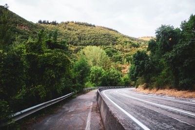 Road and path surrounded by forest and vegetation against blue sky