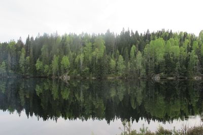 Scenic view of lake and trees against sky