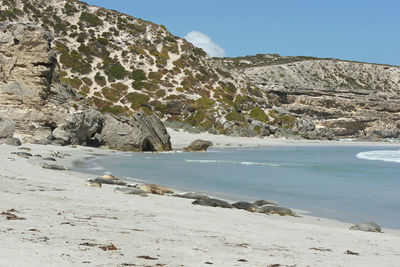 Scenic view of beach against sky