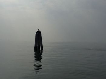 Rear view of silhouette man in sea against sky