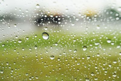 Close-up of glass window