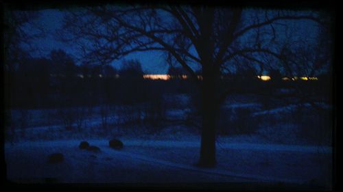 Bare trees on landscape at sunset