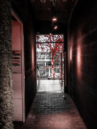 Corridor of building at night