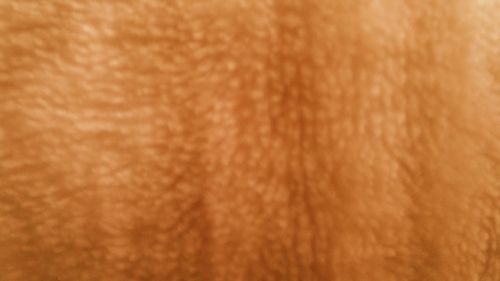 Full frame shot of orange