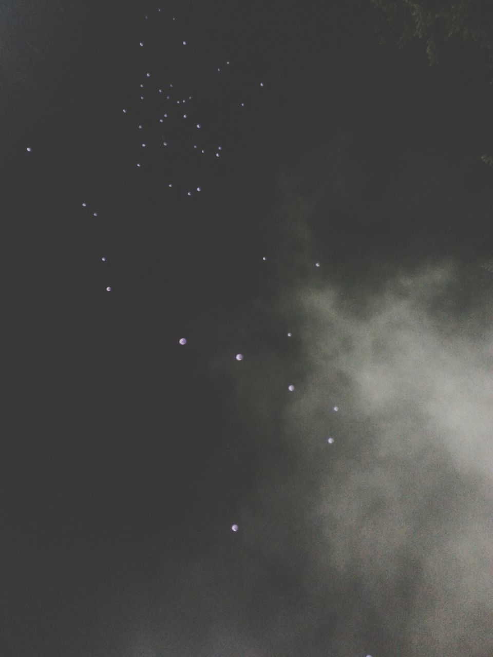 night, low angle view, astronomy, beauty in nature, sky, tranquility, scenics, star - space, nature, moon, tranquil scene, dark, idyllic, star field, backgrounds, no people, outdoors, star, illuminated, infinity