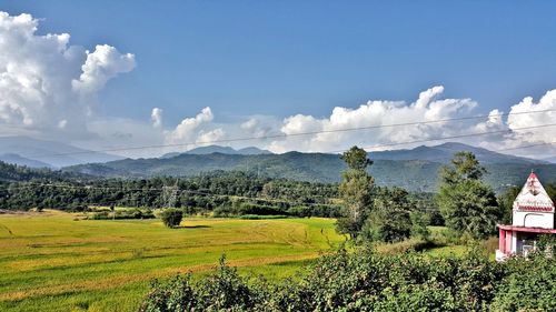 Scenic view of field against sky