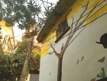 Low angle view of tree against sky