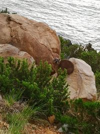 High angle view of rocks by sea