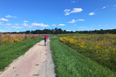 Rear view of man walking on field against sky