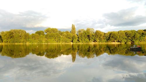 Reflection of trees in water