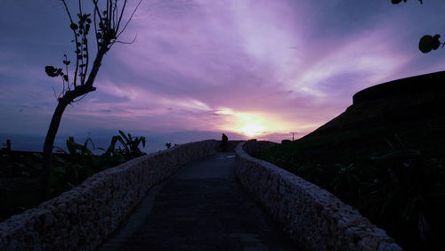 Road amidst plants against sky during sunset