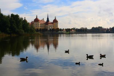 Ducks on lake against sky