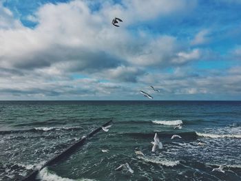 Seagulls flying over sea against sky