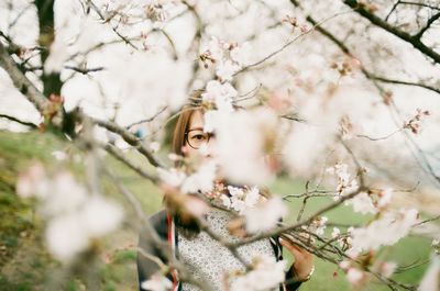 Portrait of woman standing by cherry tree in park