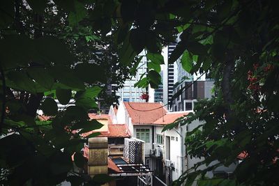 Low angle view of building