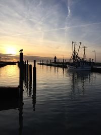 Silhouette sailboats in sea against sky during sunset