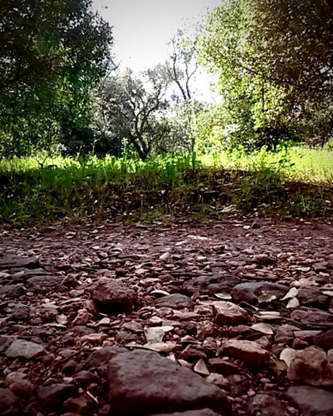 Corredor Verde De Monsanto