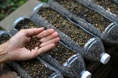 Close-up of person preparing food
