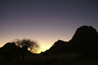 Silhouette trees against clear sky during sunset