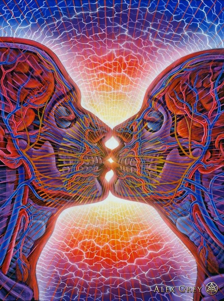 Alex grey