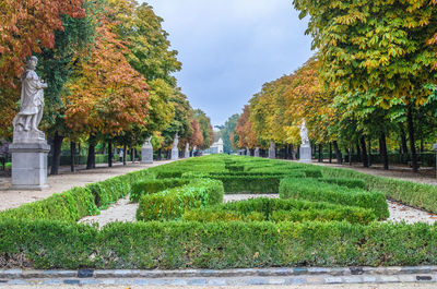 Paseo de la argentina also known as paseo de las estatuas in the buen retiro park. madrid, spain